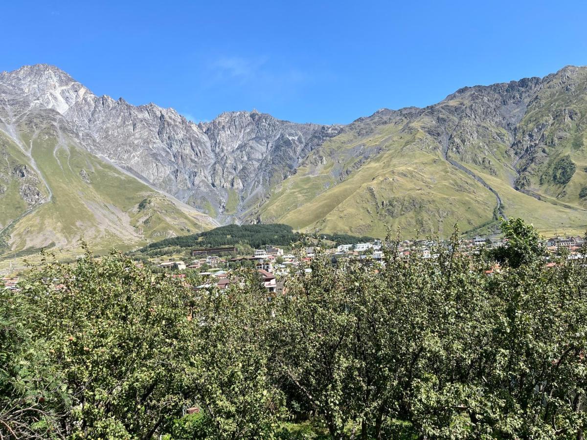 Guest House Demma Kazbegi Exterior photo